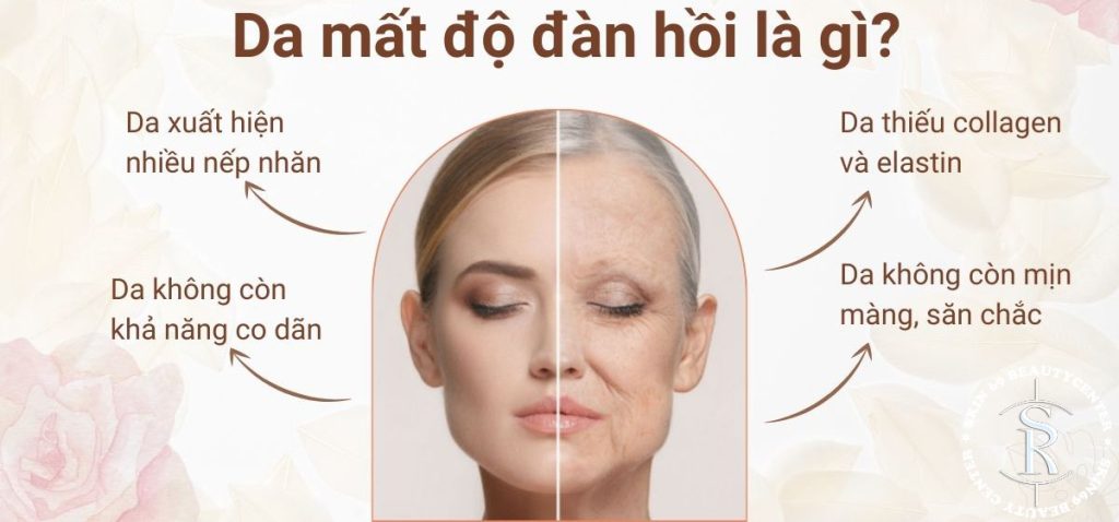 DNA Collagen là gì? Lợi ích của DNA Collagen